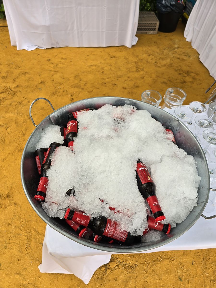 Barreño con cervezas en hielo y copas preparadas para el aperitivo en el jardín